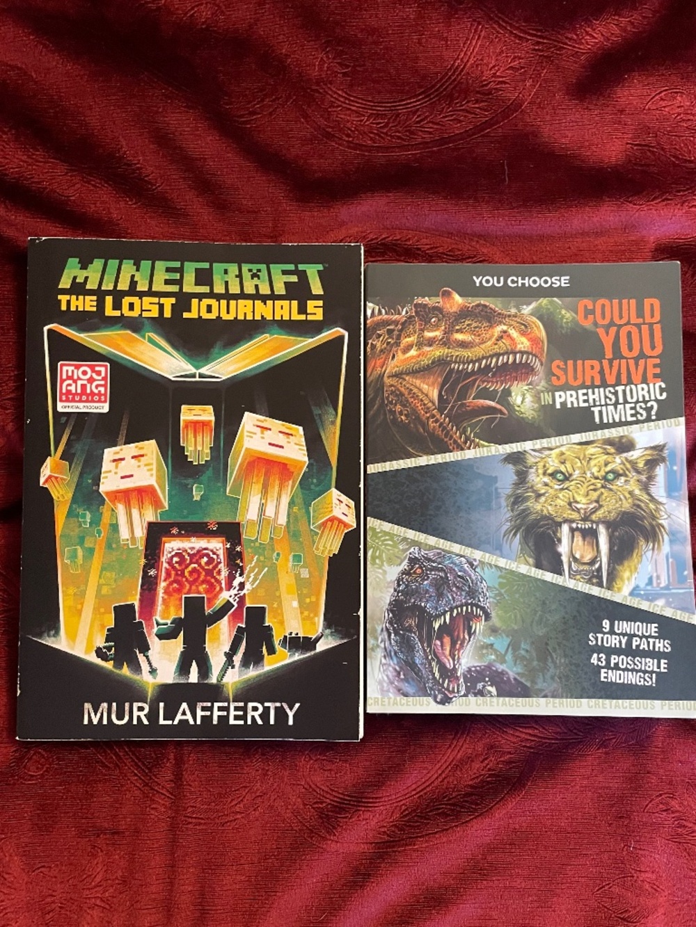 NWOT 2 Young Teen/Young Adult Books